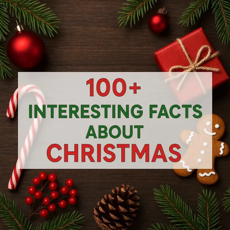 "Interesting Facts About Christmas"