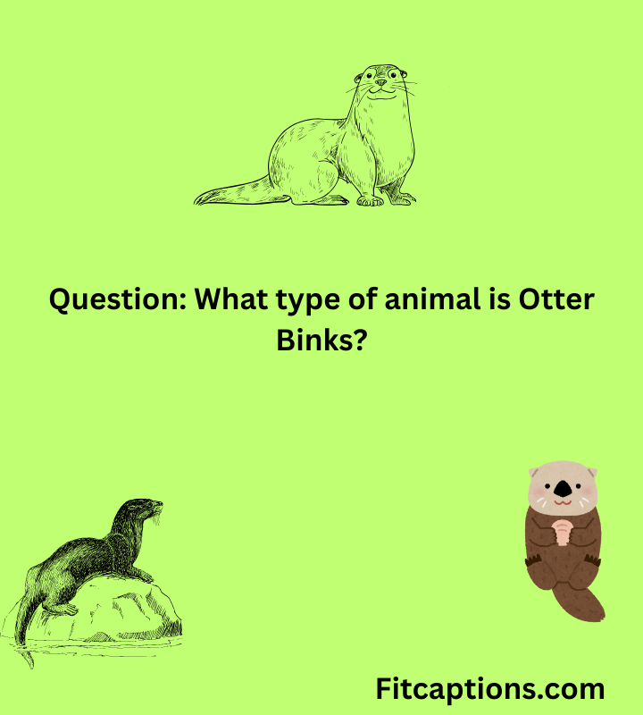 "Otter Binks Trivia Questions and Answers "