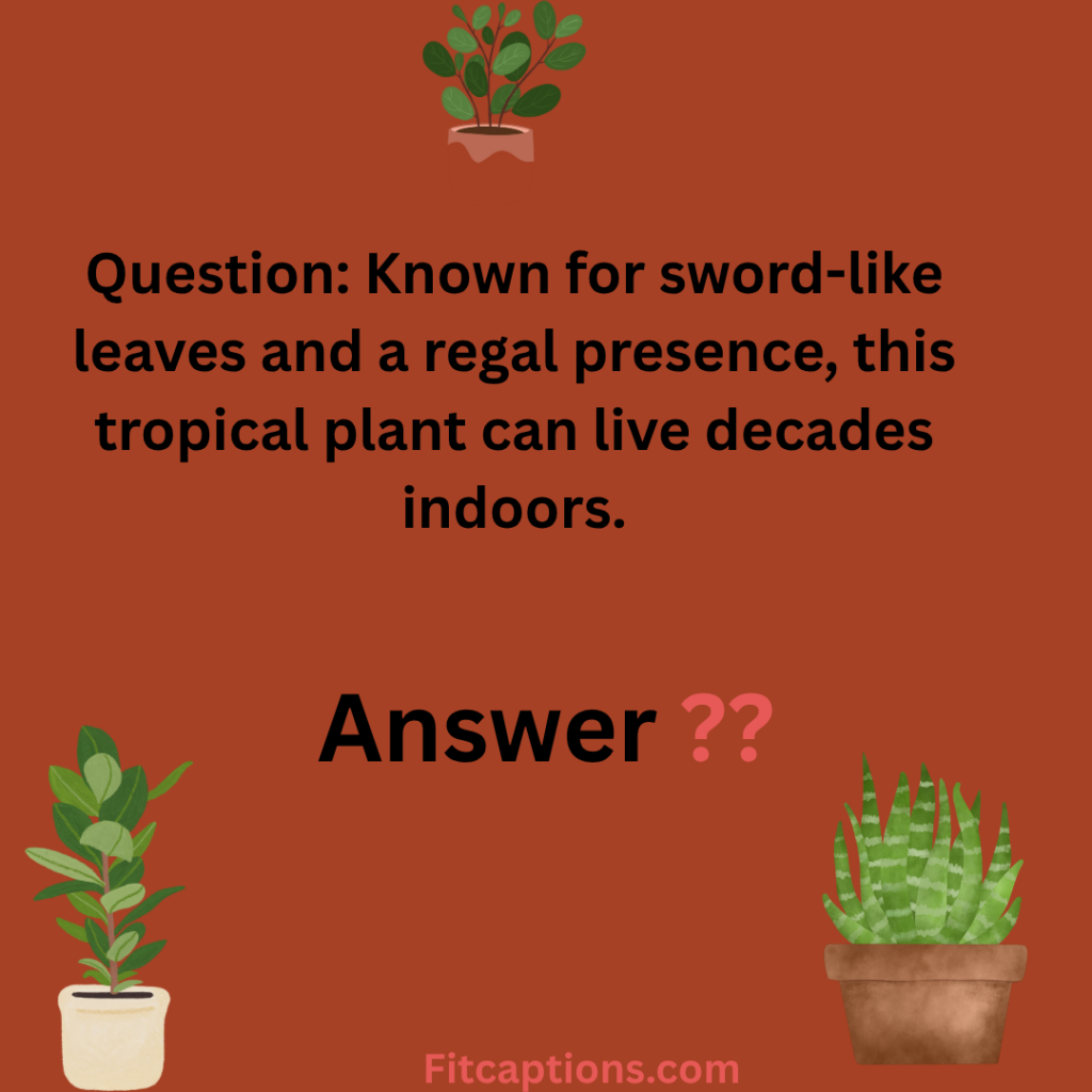 " Houseplant Trivia Questions and Answers"