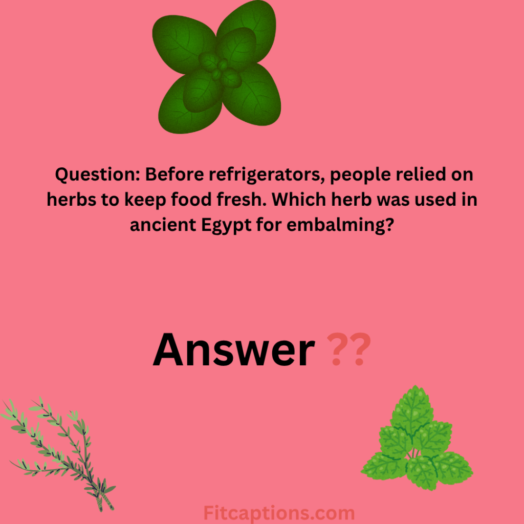 Herb Trivia Questions and Answers