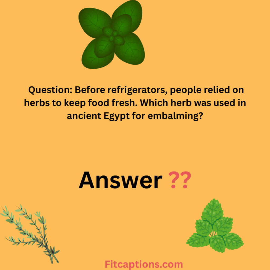 "Herb Trivia Questions and Answers"