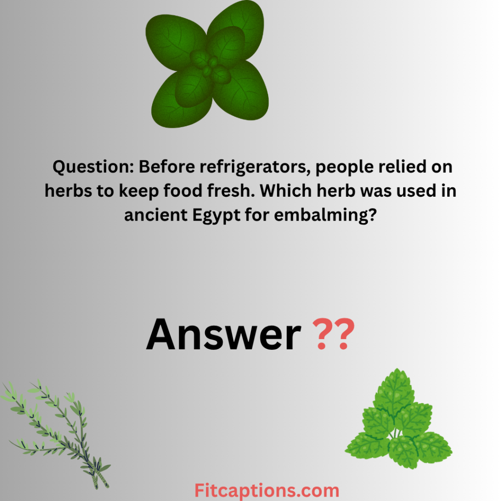 "Herb Trivia Questions and Answers"