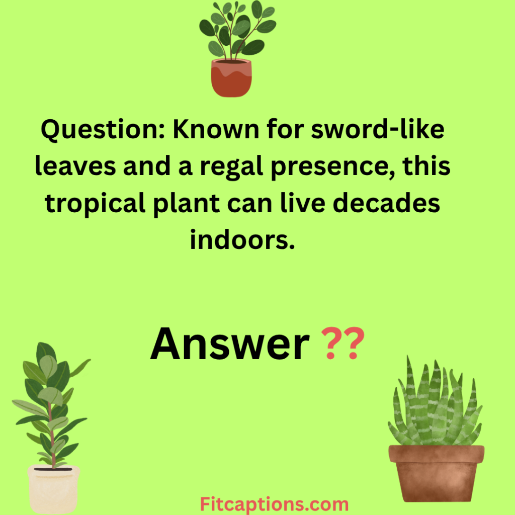 " Houseplant Trivia Questions and Answers"