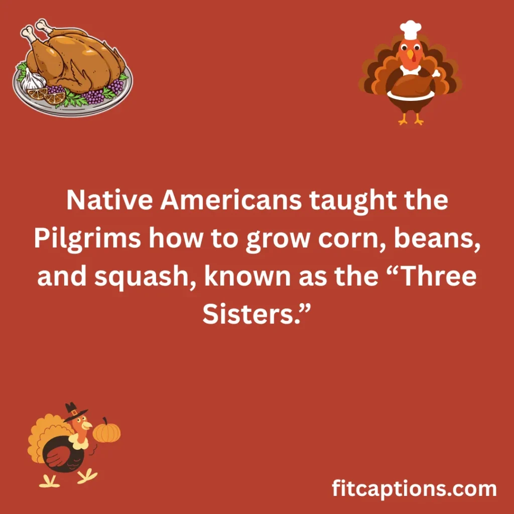 100+ Thanksgiving Fun Facts You Never Knew "Thanksgiving Food Facts"