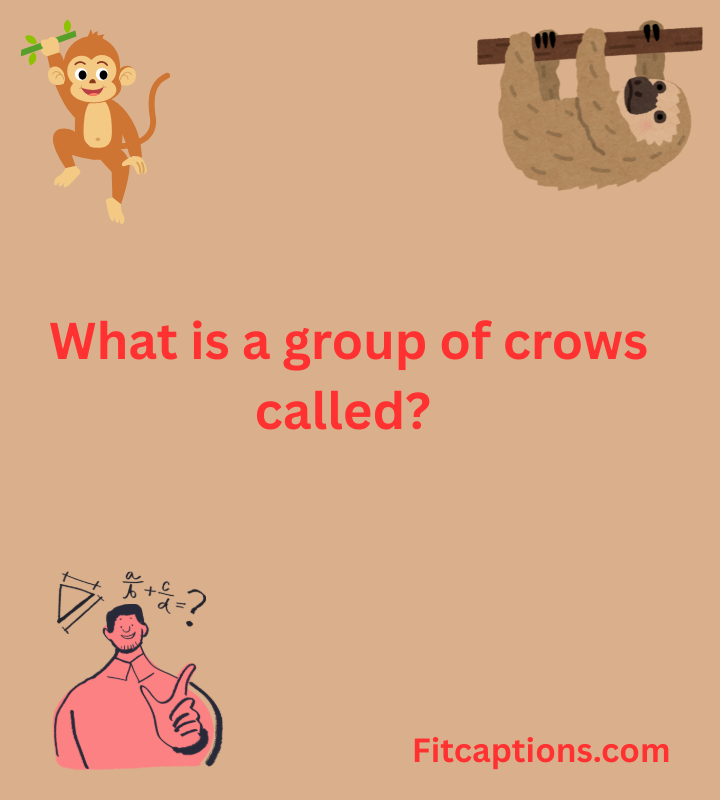 Trivia Questions and Answers 24 2