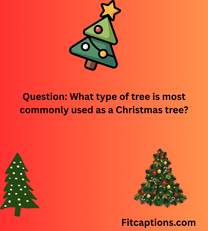 "Christmas Tree Trivia Questions and Answers"