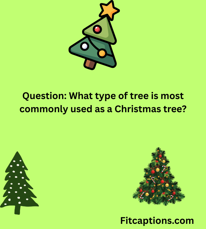"Christmas Tree Trivia Questions and Answers"