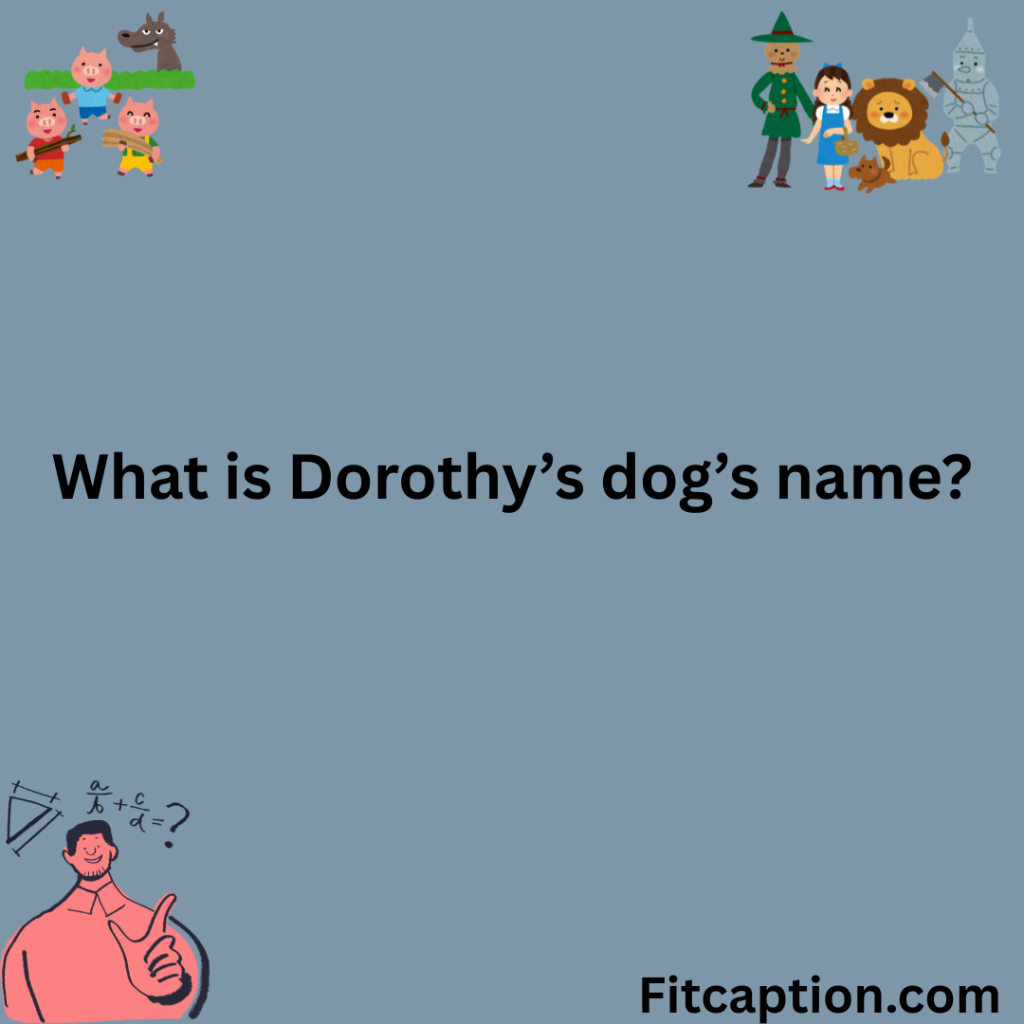 Fitcaption.com 5