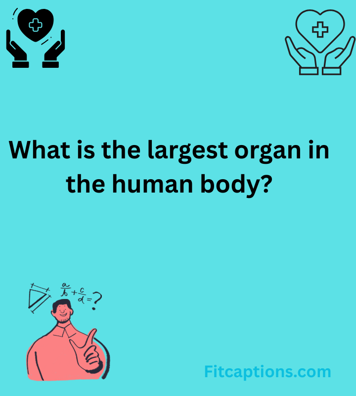 Trivia Questions and Answers 2025 12 01T111919.569