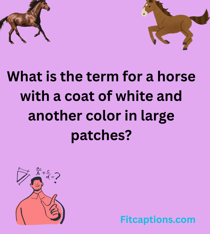 Trivia Questions and Answers 2025 12 01T195814.481