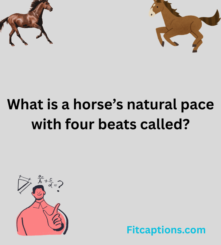 Trivia Questions and Answers 2025 12 01T195909.028