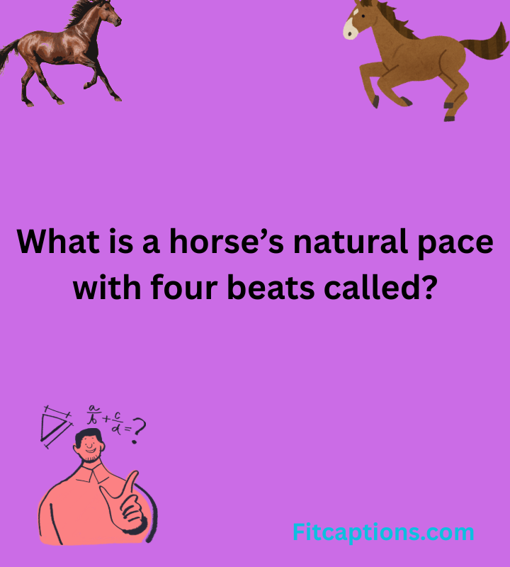 Trivia Questions and Answers 2025 12 01T195918.880