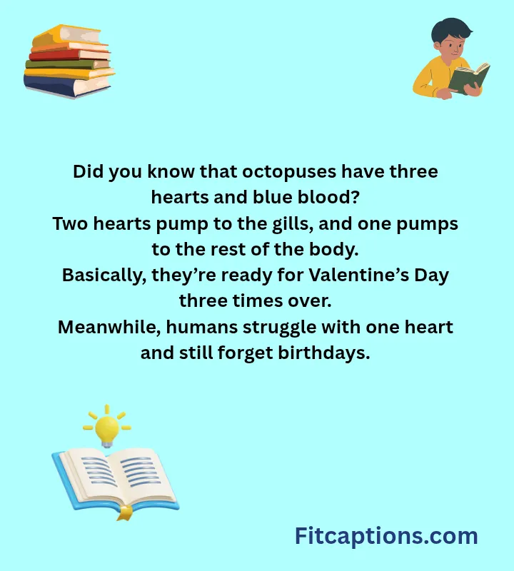 "Interesting Facts About Everything"