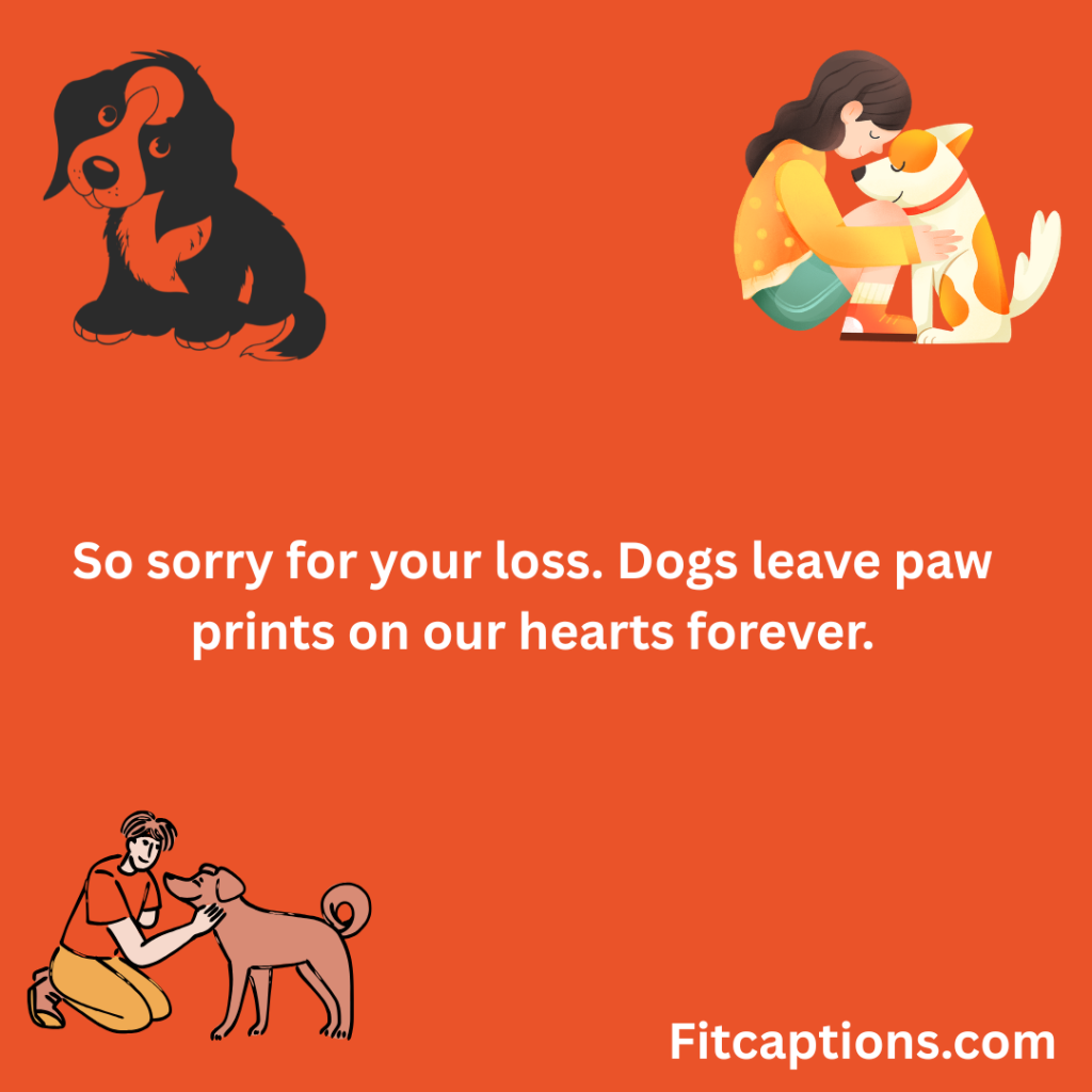 "Pet Sympathy Messages For Dog"