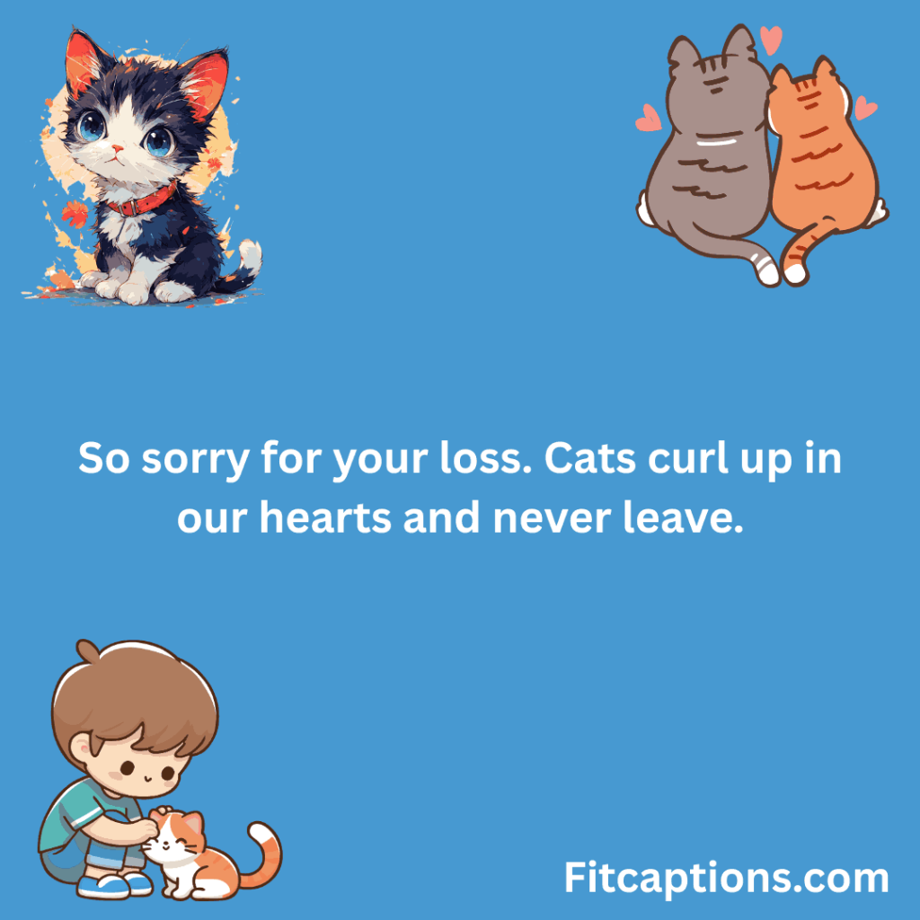 "Pet Sympathy Messages For Cat Owners"