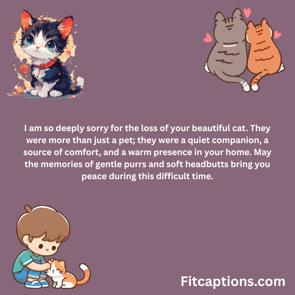 "Pet Sympathy Messages For Cat Owners"