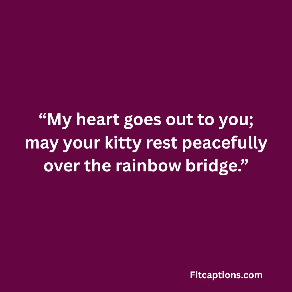 "Pet Sympathy Messages Sudden Loss"