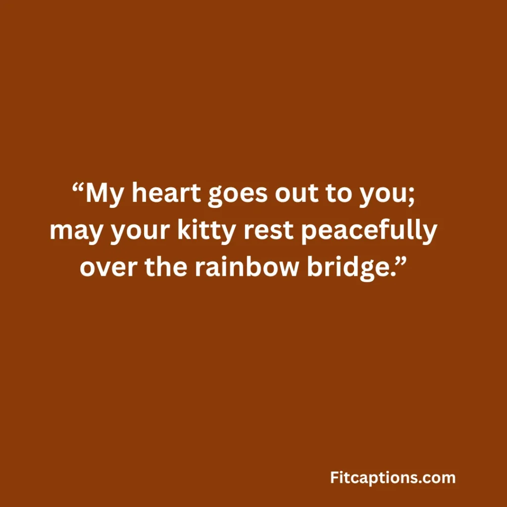 "Short Message for Loss of Pet Cat"
