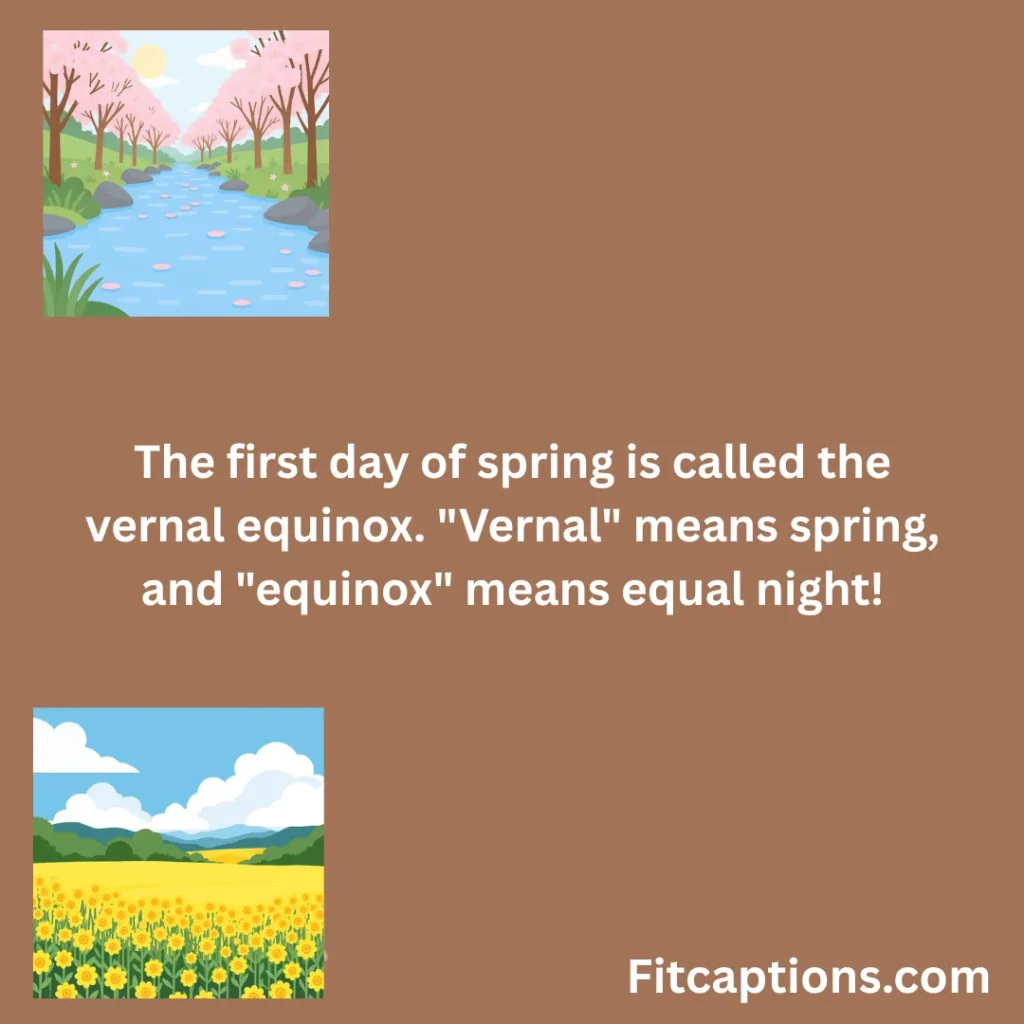 "First Day of Spring Facts"