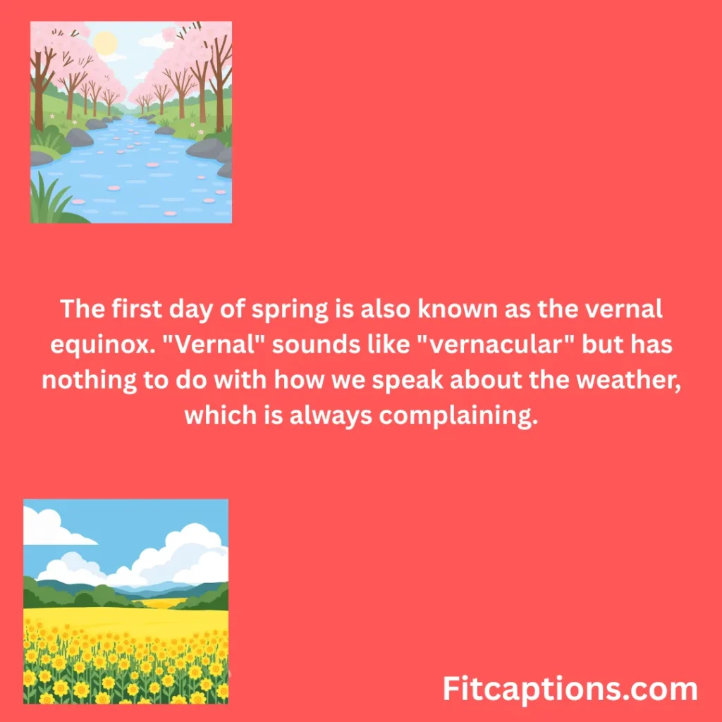 "First Day of Spring Facts"