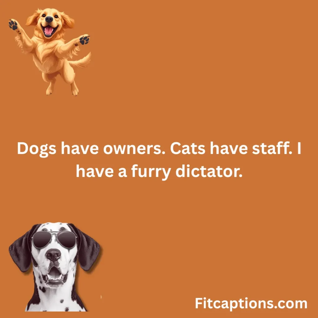 "Funny Dog Quotes"
