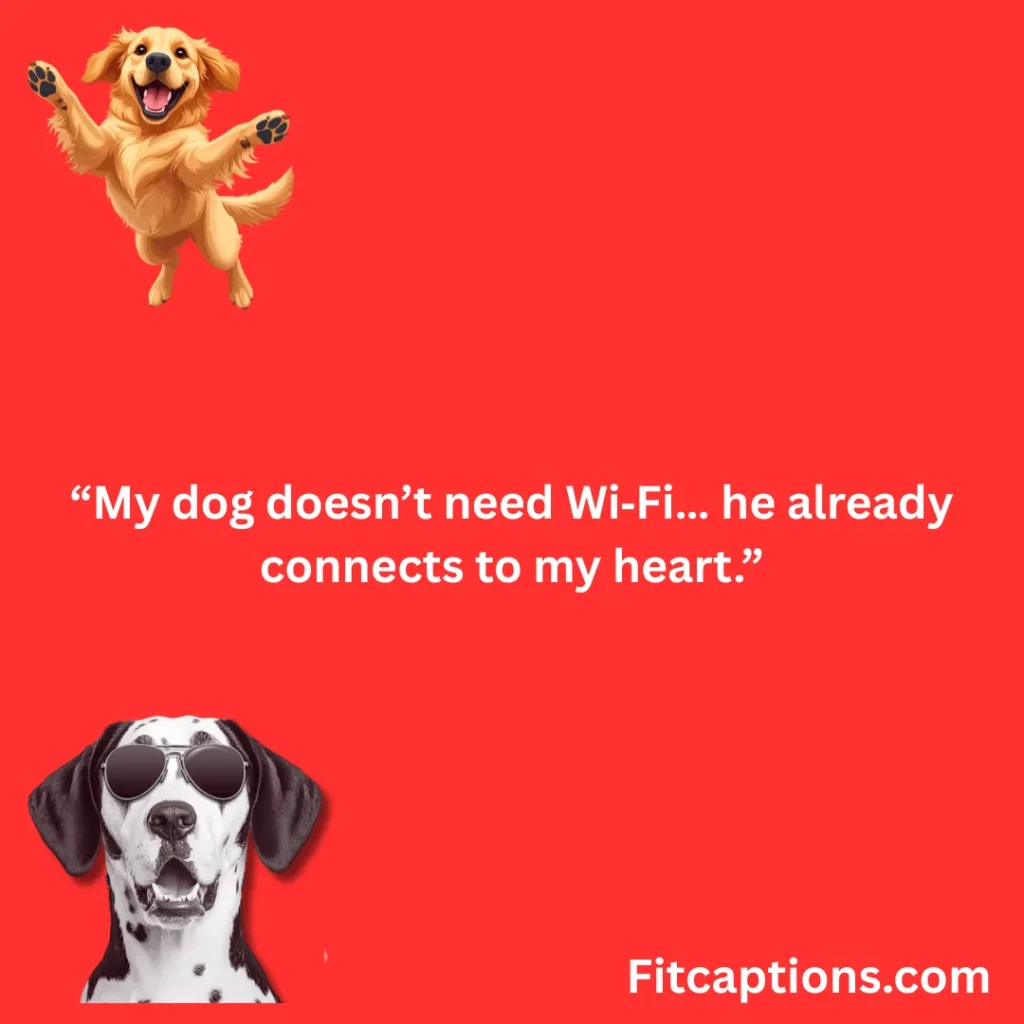 "Funny Dog Quotes"