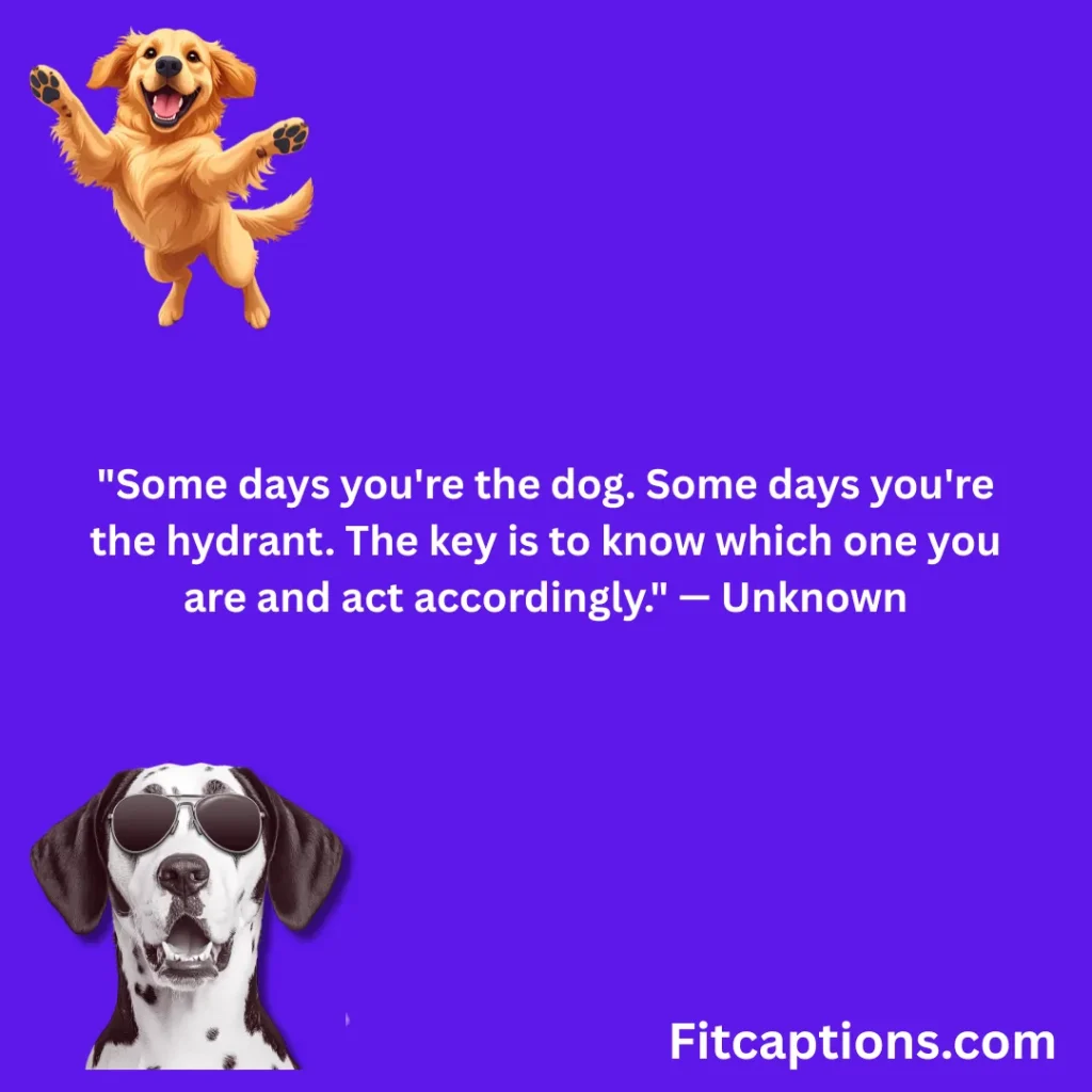 "Funny Dog Quotes"