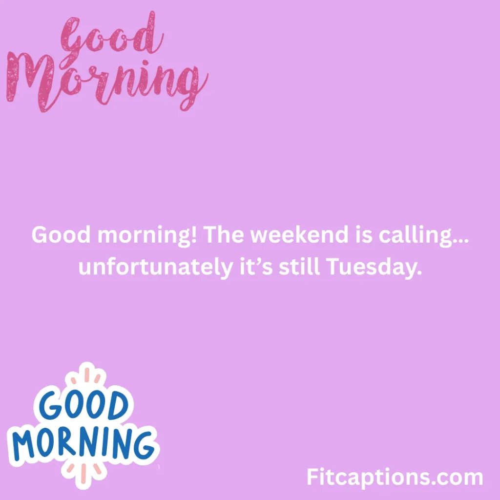 "Funny Good Morning Quotes"