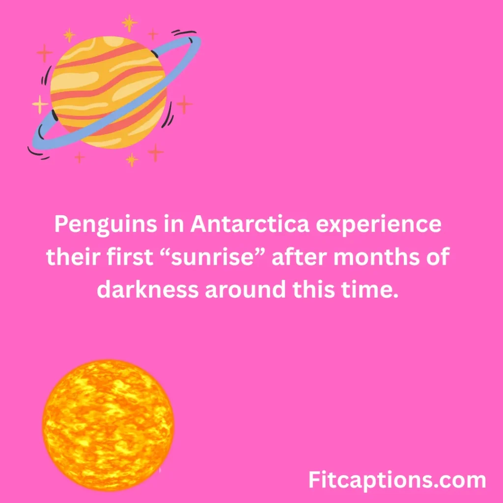 "Vernal Equinox Fun Facts"