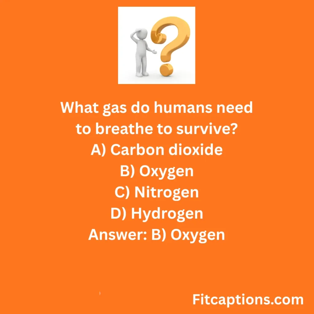 "6th Grade Trivia Questions and Answers"