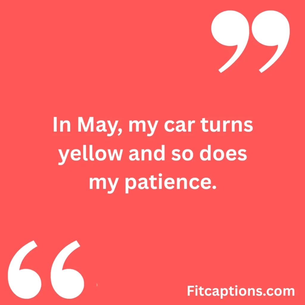 "Short May Quotes"