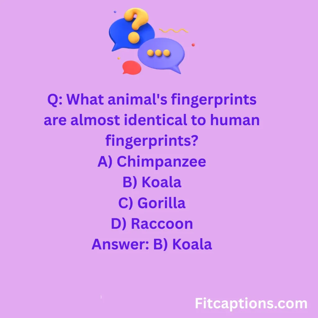 "Wacky Trivia Questions And Answers"