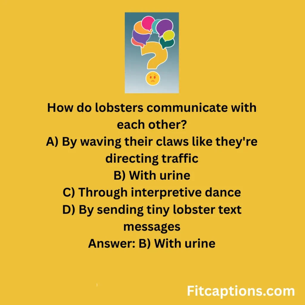 "Funniest Trivia Questions And Answers"