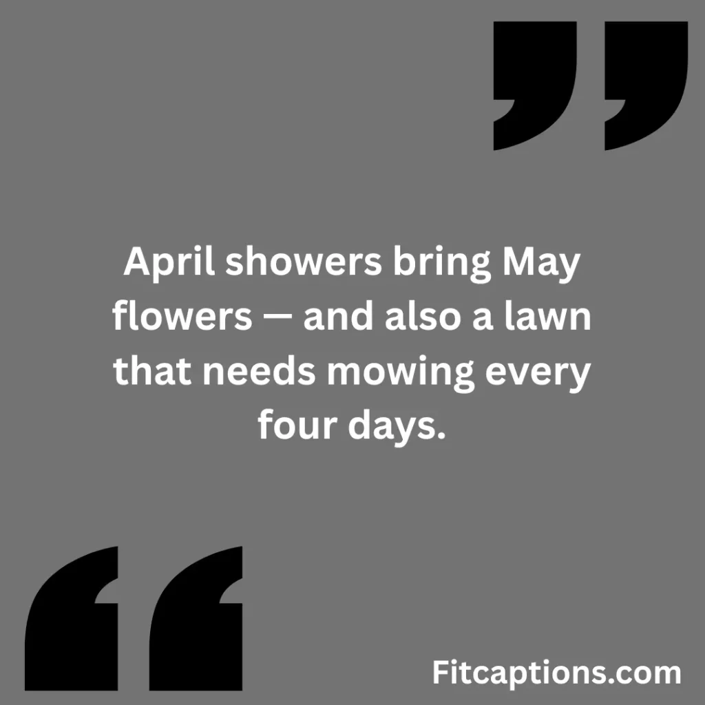 funny may Quotes 1