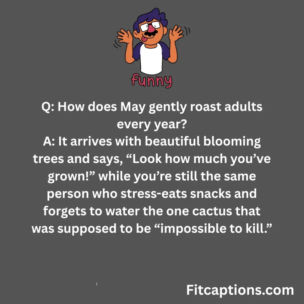 "Funny May Jokes for Adults"