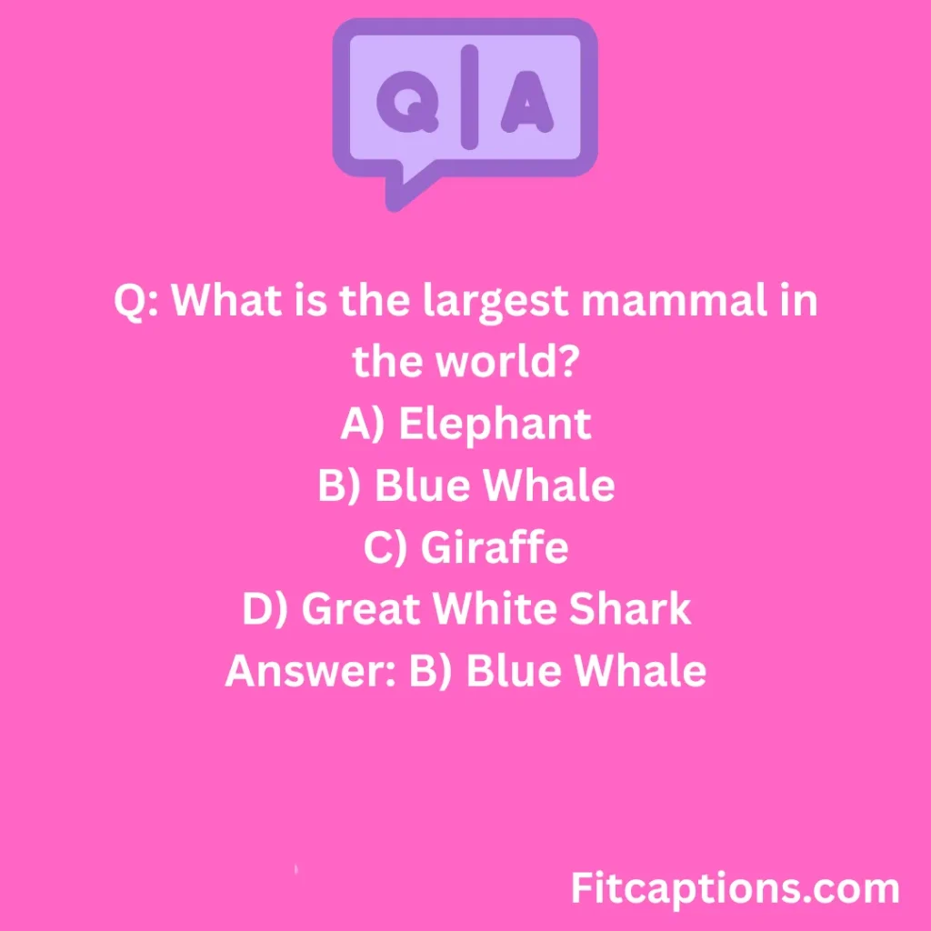 "Great Trivia Questions And Answers"