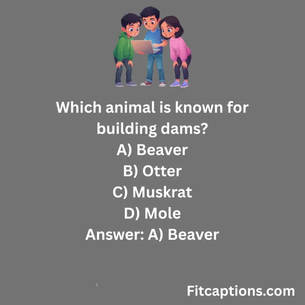 "Entertaining Kids Trivia Questions And Answers"