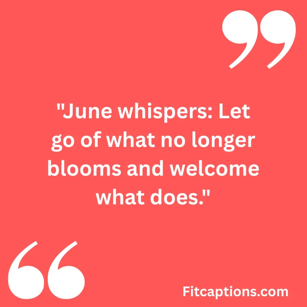 123+ Inspirational June Quotes to Refresh Your Mind and Spirit (2026) "'"Inspirational June Quotes""