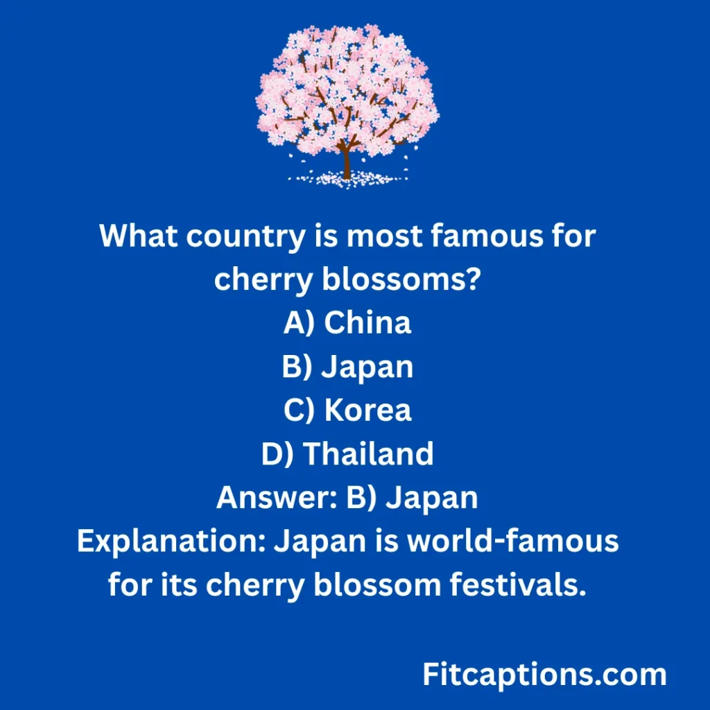 123+ Fun Cherry Blossom Trivia Questions and Answers for Nature Lovers (2026) "Fun Cherry Blossom Trivia Questions and Answers"