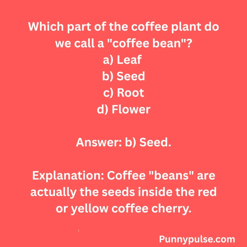 "Coffee Quiz Questions And Answers"
