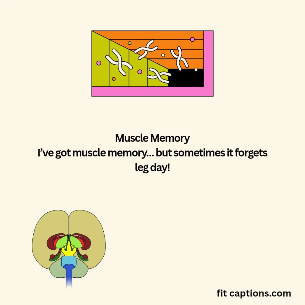 "Kinesiology Puns "