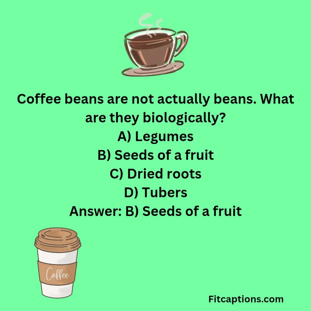 "Fun Coffee Trivia Questions and Answers"
