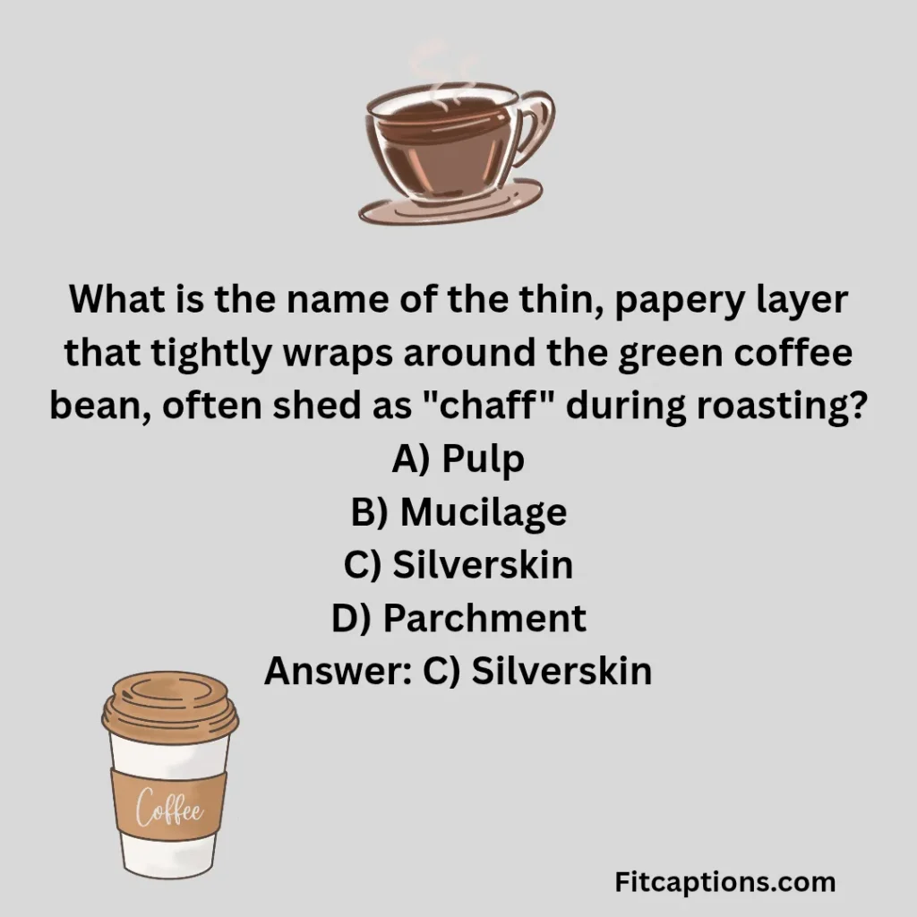 "Fun Coffee Trivia Questions and Answers"