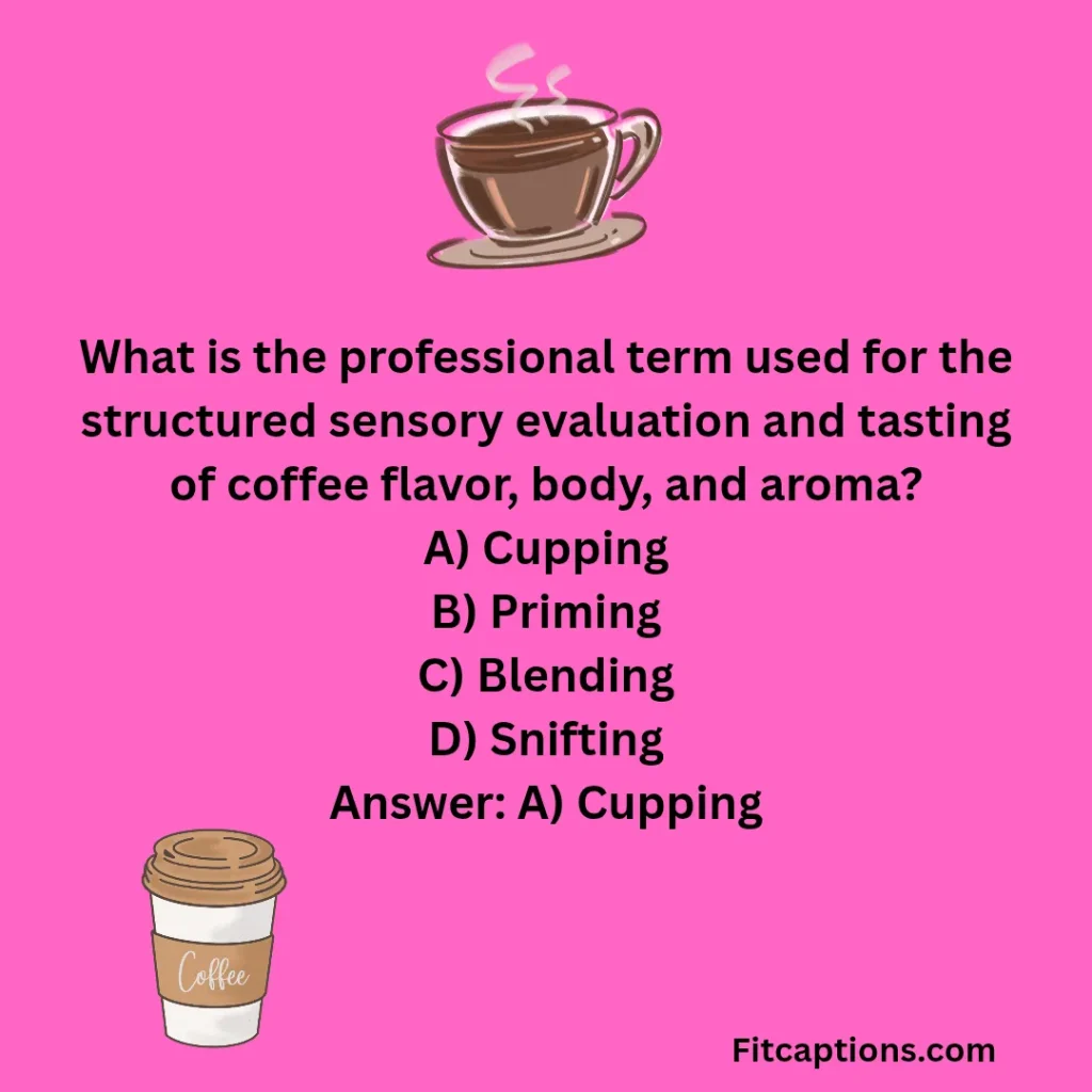"Fun Coffee Trivia Questions and Answers"
