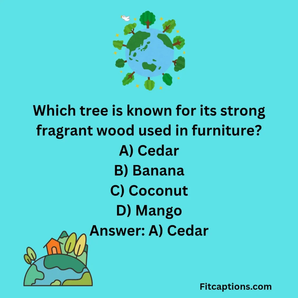 "Worldwide Trees Quiz Questions and Answers "