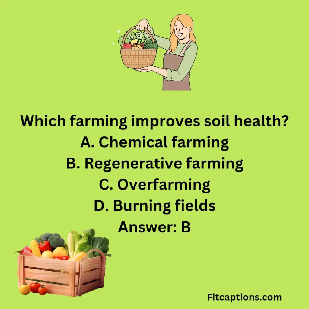 "Sustainable Food Trivia Questions and Answers "