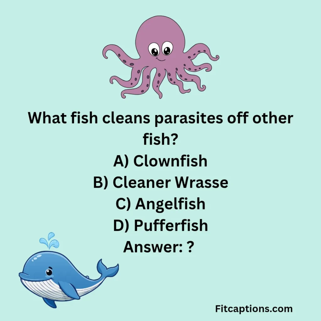 "Ocean Creatures Quiz Questions and Answers"