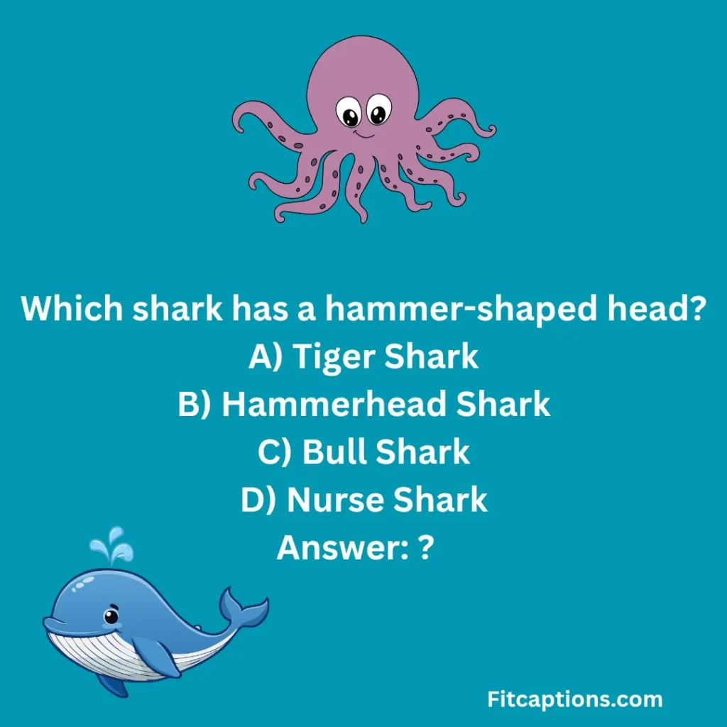 "Ocean Creatures Quiz Questions and Answers"