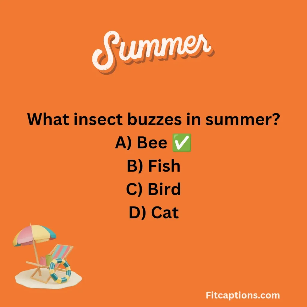 "Summer Quiz Questions and Answers "