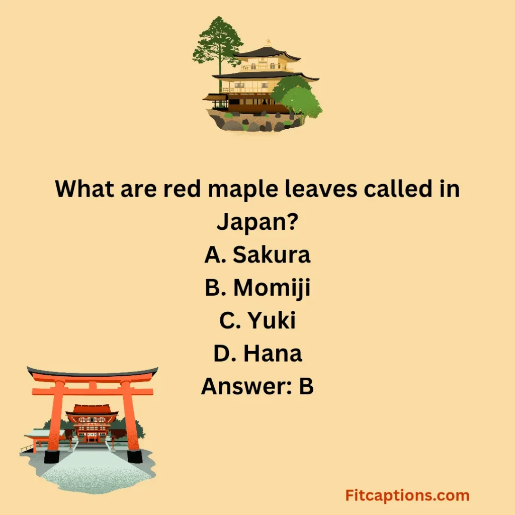 "Kyoto Quiz Questions and Answers" 